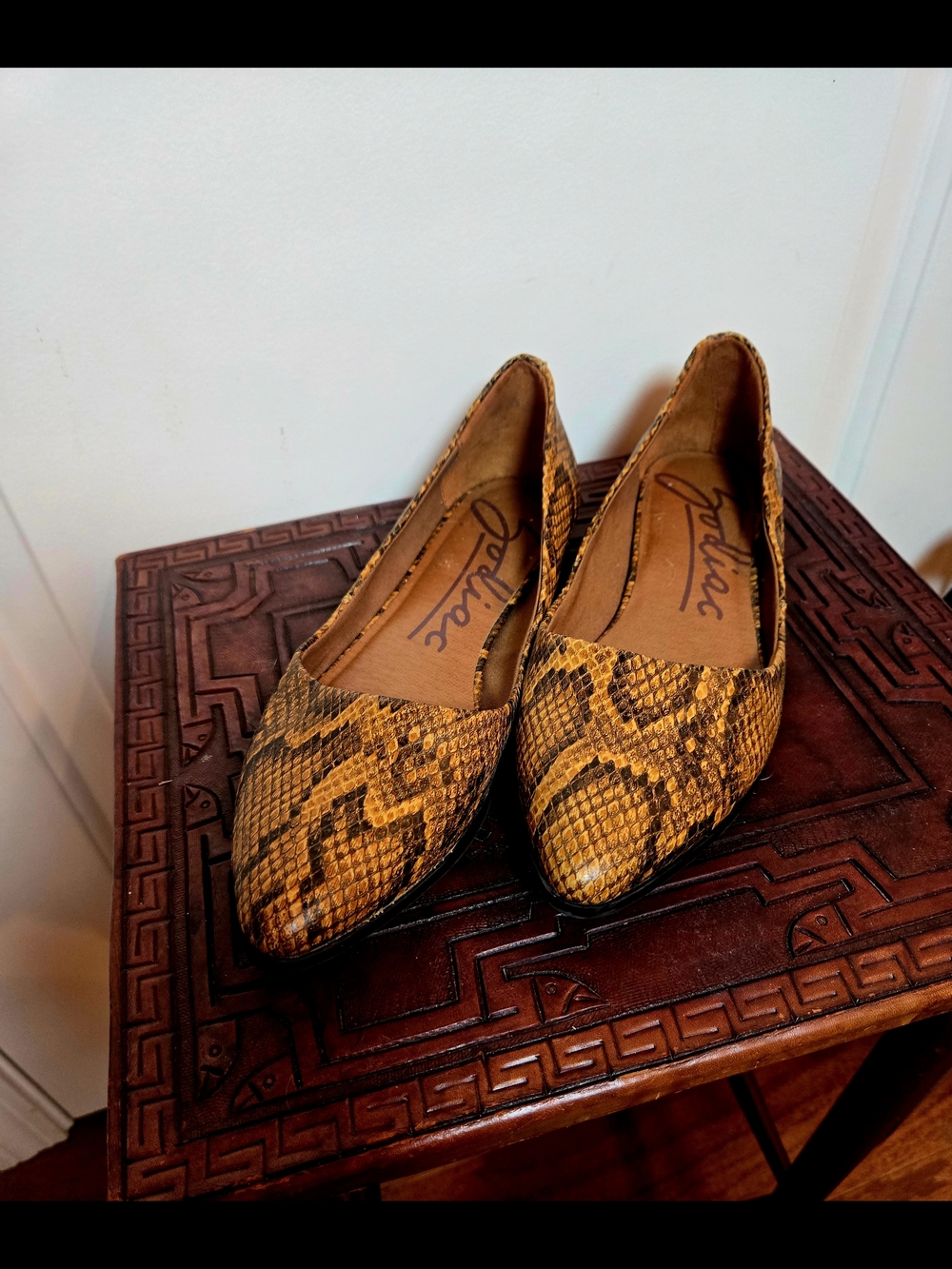 Zodiac Yellow & Brown Snake-Print Pointed Toe Flats